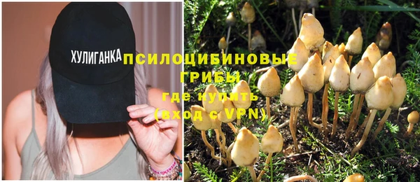 соль ск Магас