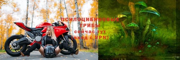 прущая мука Магадан
